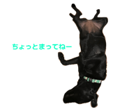 841655490