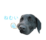841655495