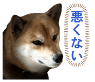 841655862