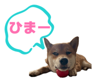 841655870