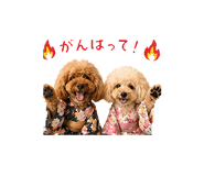 841655960