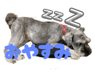 841656013