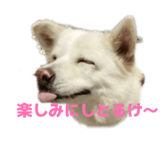 841656046