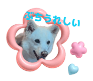 841656047