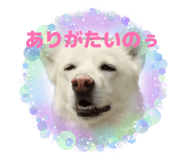 841656049