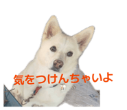 841656055
