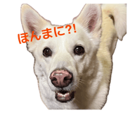 841656056
