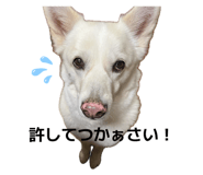 841656057
