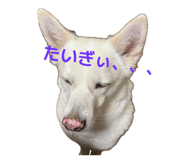 841656058