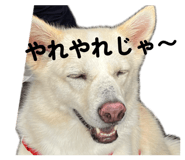 841656059