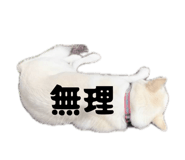 841656060