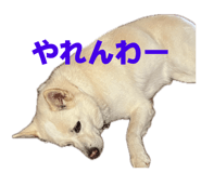 841656061