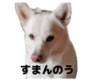 841656062
