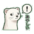 841656572