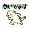 841656580