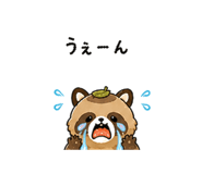 841657016