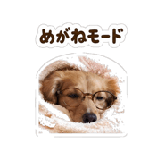 841657089