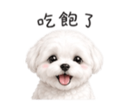 841658320