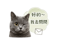 841658777