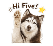 841659063