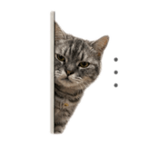 841659693