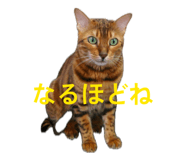 841659734