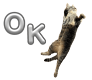 841660088