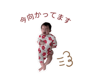 841660366