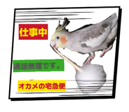841660442