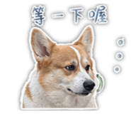 841660586