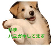 841660778