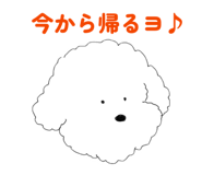 841661006