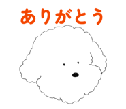 841661016
