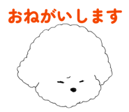 841661037