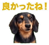 841661233