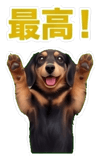 841661241