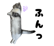 841661384