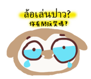 841661581