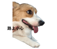 841663348