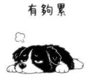 841663838