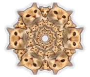 841665592