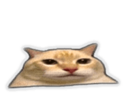 841665598