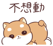 841665747