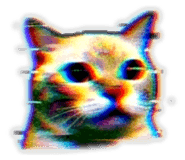 841665794