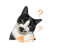 841665940