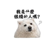 841666381