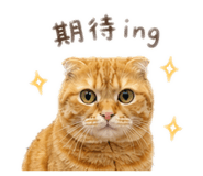 841666557
