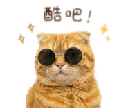 841666562