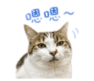 841666567
