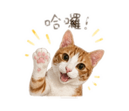 841666569